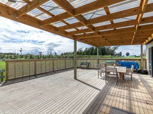 361 Whales Line Marton_4