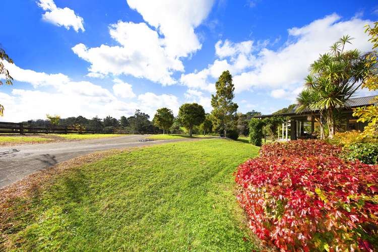 236 Blackbridge Road Dairy Flat_6