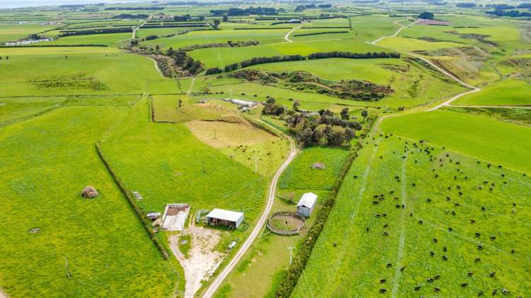 Kakaramea Road Patea_5