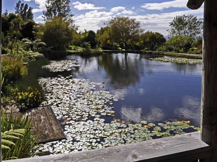 205 Pumpkin Hill Road Pumpkin Hill_14