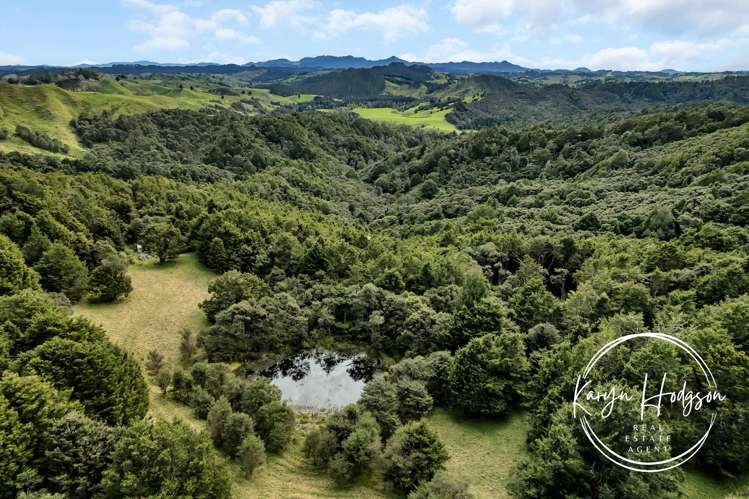 897 Bull Road Paparoa_12