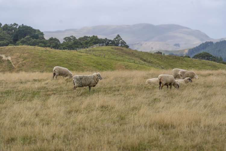 287 West Road Mauriceville_23