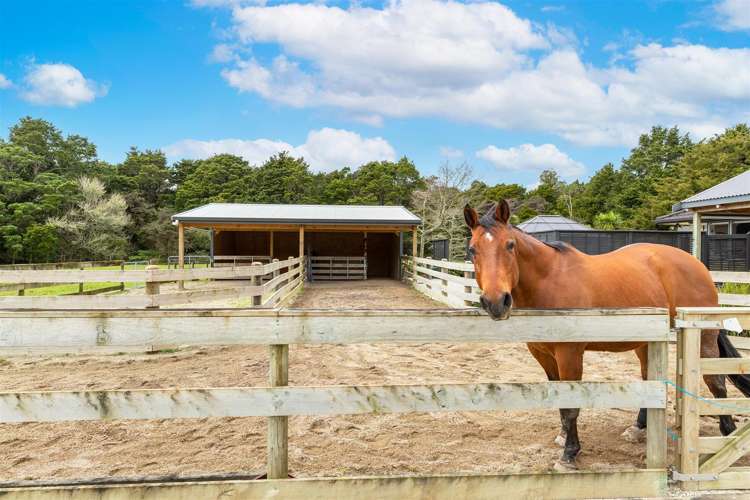 42 Westminster Glen Matakana_3