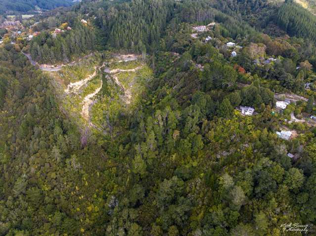 173 Blue Mountains Road Blue Mountains_3