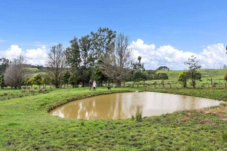 136 Knight Road Ruatangata West_32