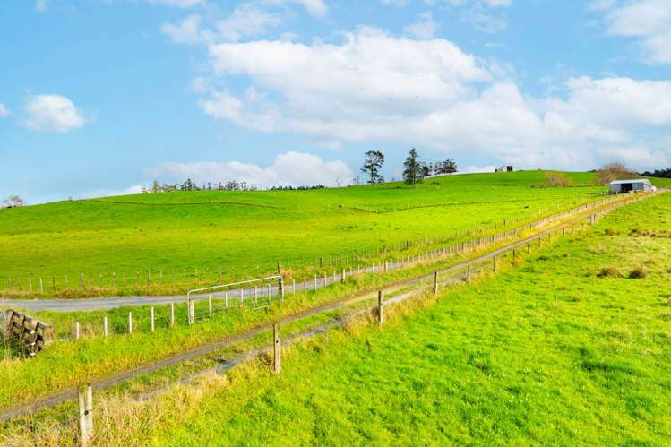462 Kahikatea Flat Road Waitoki_6