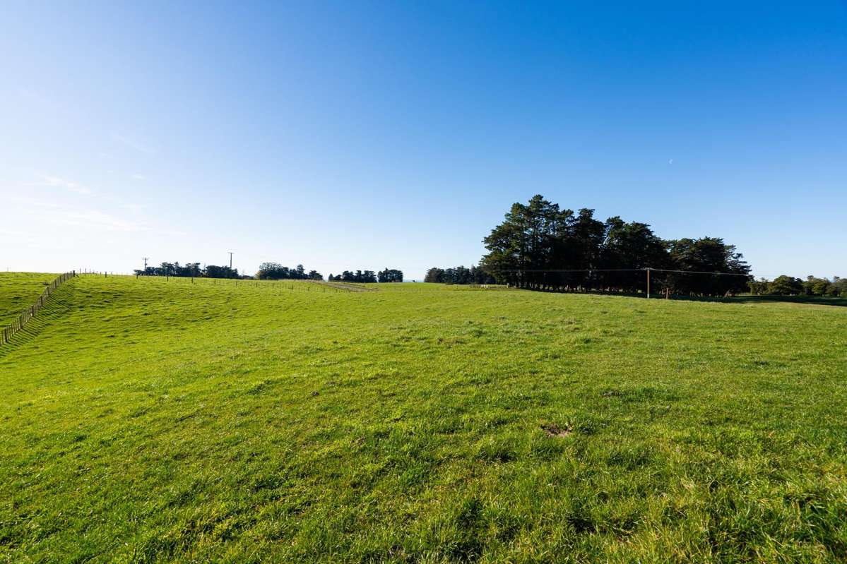 Lot 2, 876 Whakapirau Road_2