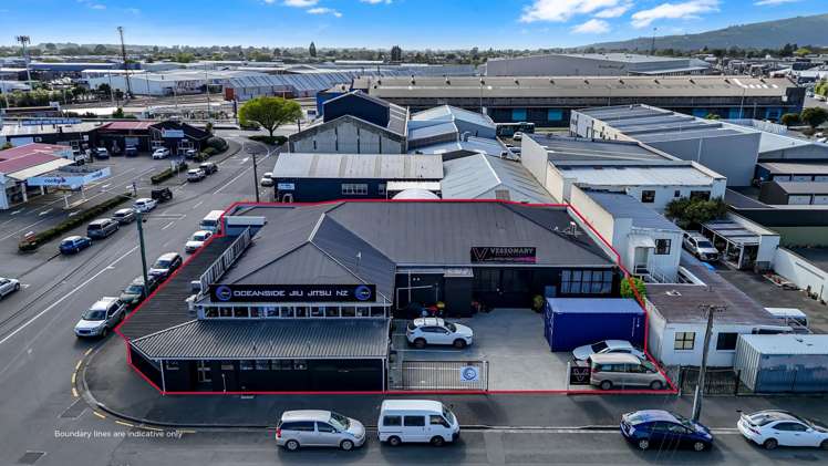 96 Byron Street Sydenham_11