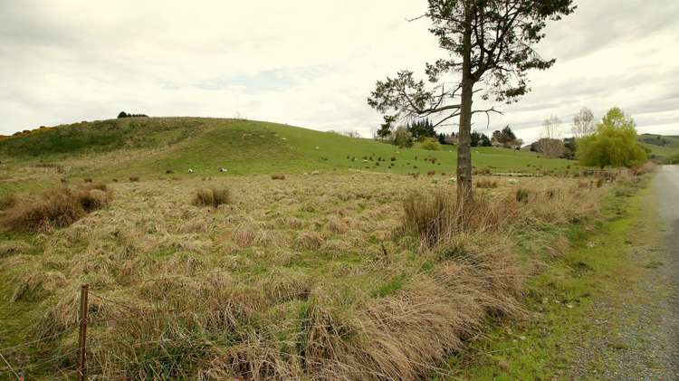 Waitahuna Gully Road Lawrence_8