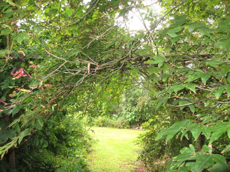 869 Tahakopa Valley Road Catlins Surrounds_18