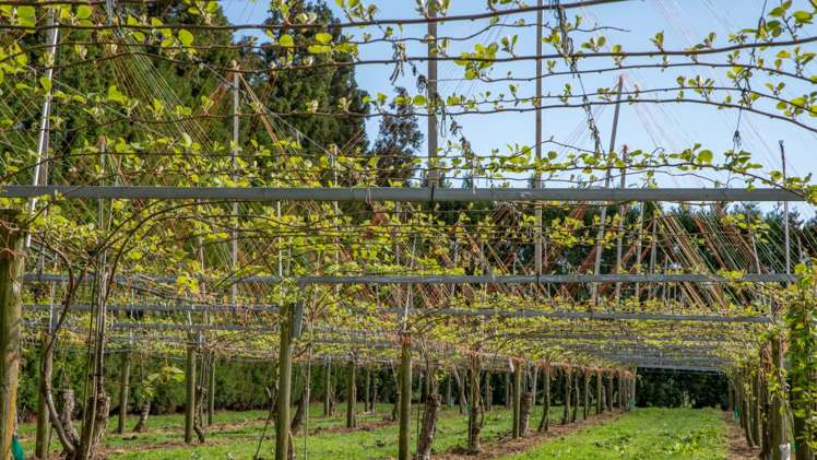 9765 State Highway 2 Waihi_15