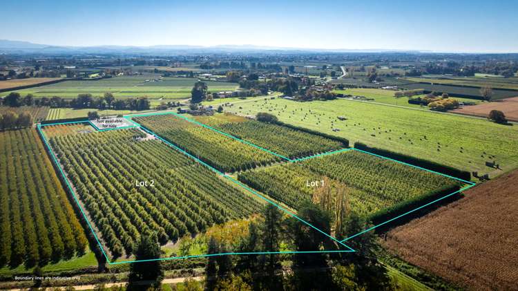 83 Mount Erin Road Havelock North_4