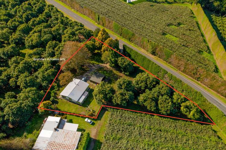 472 No 3 Road Te Puke_4