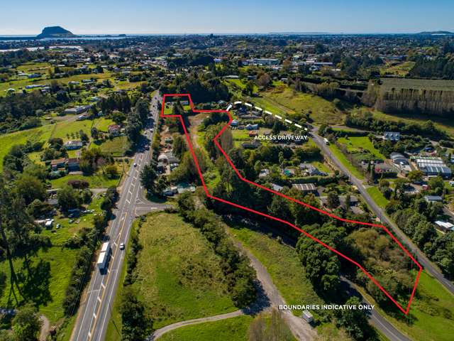 49B Taniwha Place Bethlehem_1