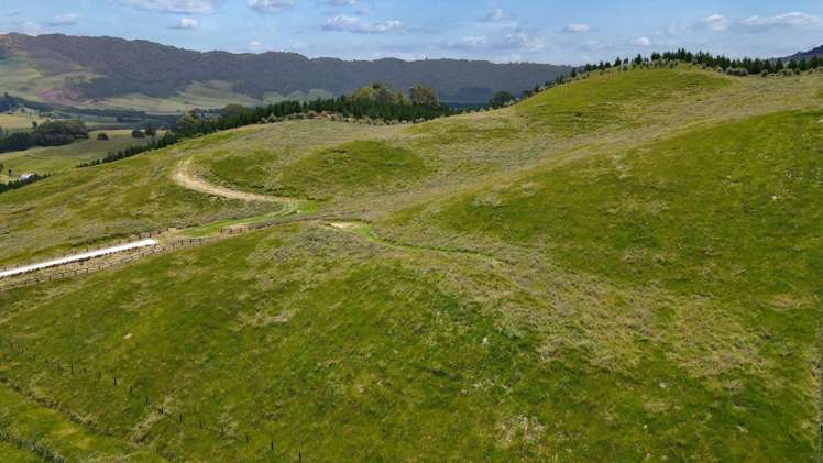 46 Relph Road Ngongotaha Valley_22