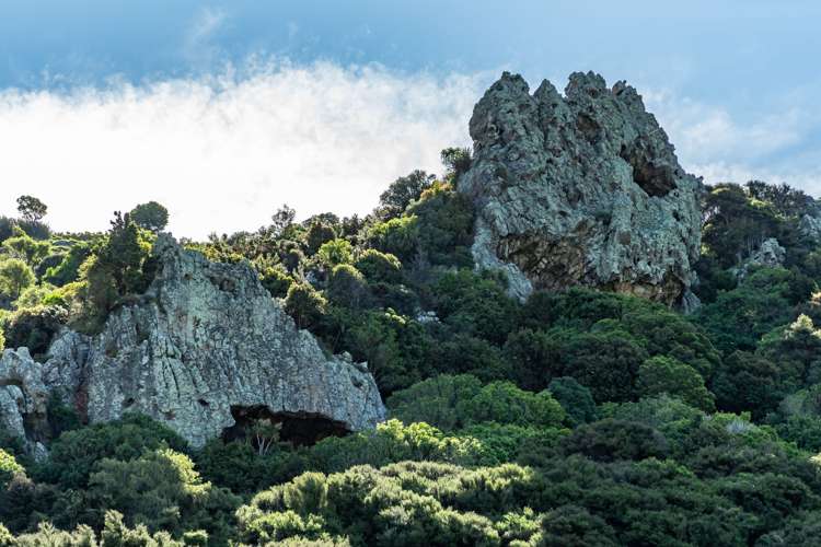 44 Parkinsons Road Ataahua_14