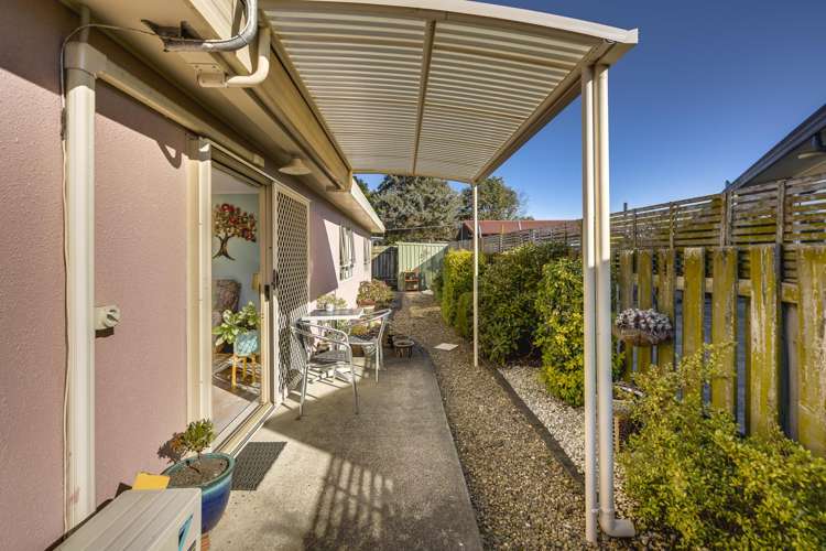 3/427 Gloucester Street Taradale_15