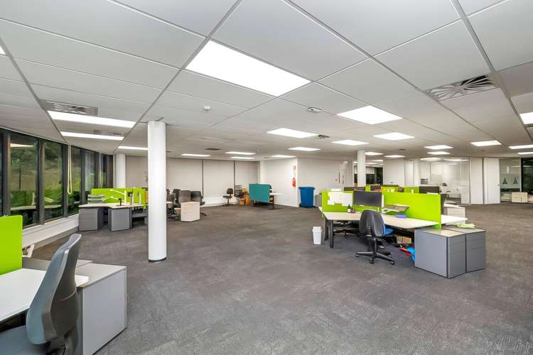 264 Mount Eden Road Mt Eden_9