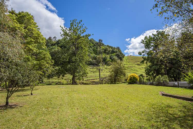 72 Bedlington Street Whau Valley_10