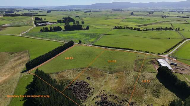 Glendhu Road Mataura_2