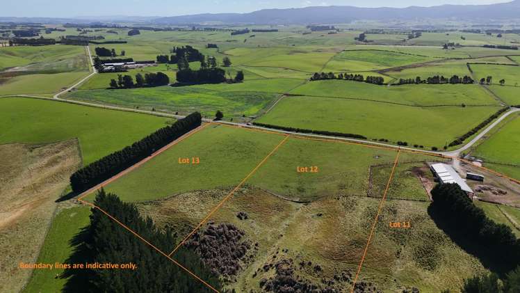 Glendhu Road Mataura_2