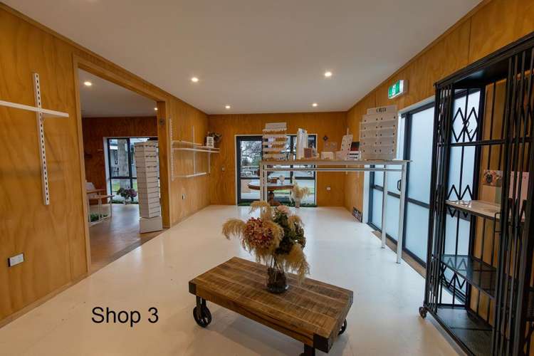 2-5/68 Main Street Fairlie_14