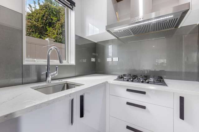 1 Lloyd Avenue Papatoetoe_2