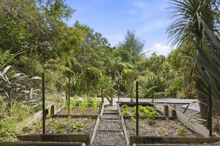 132 Maui Pomare Road Nikau Valley_40