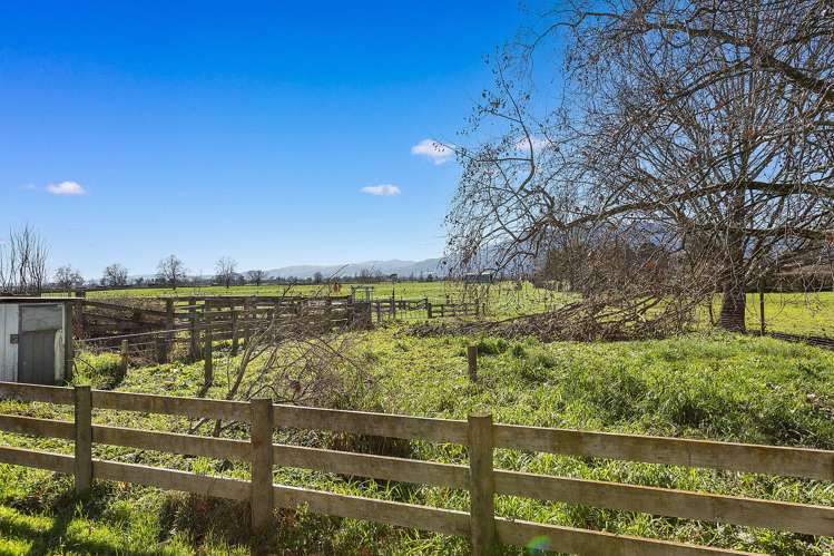 137 Seddon Road_2
