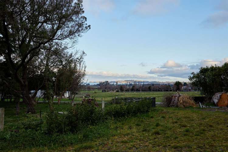 290 State Highway 1 Kaikoura_53