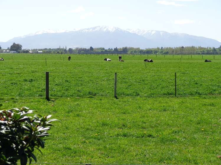 67 Oakleys Road Mayfield_16