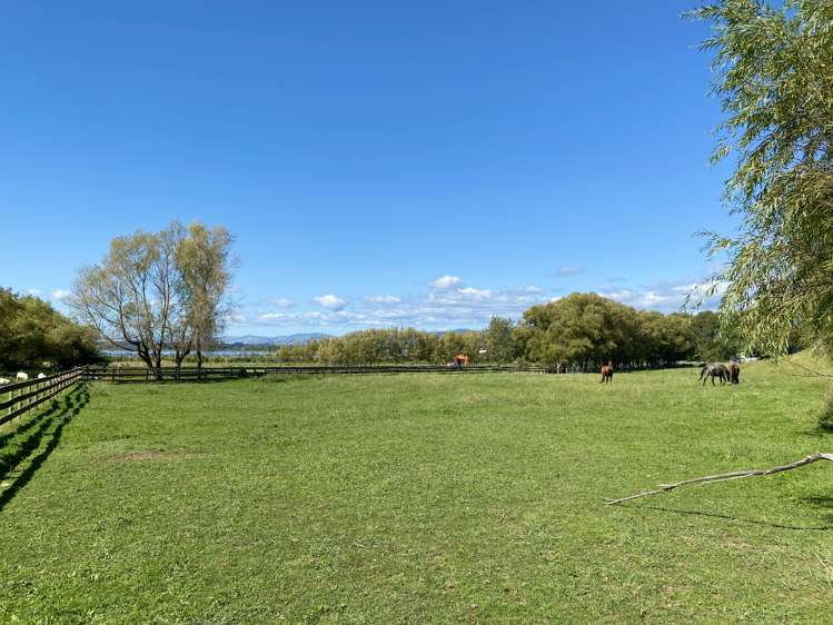 328 Hokio Beach Road Hokio Beach_22