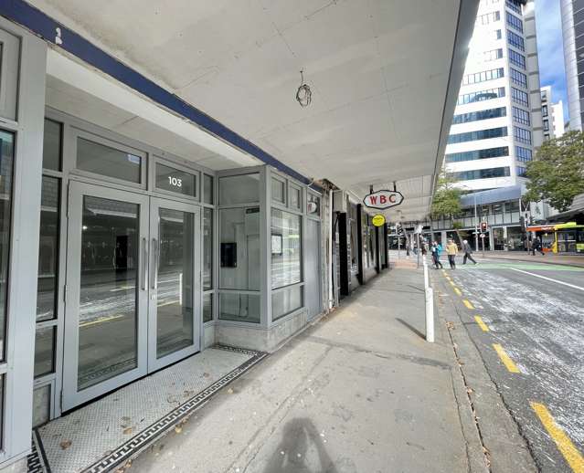 1/103 Victoria Street Te Aro_1