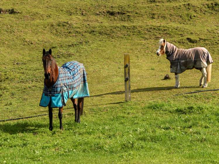 80 Upland Road Aongatete_13