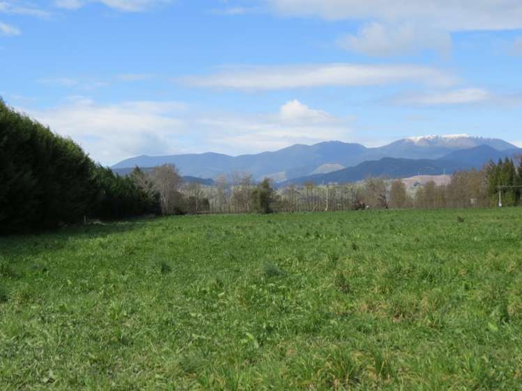 120 Palmer Road Brightwater_3