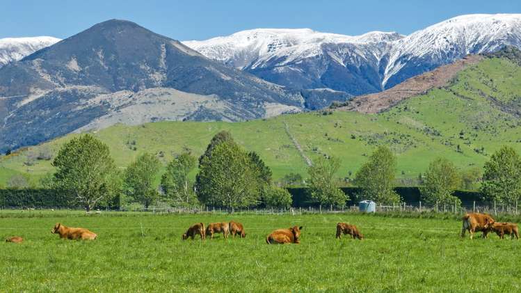 Wyndale Road Springfield_5