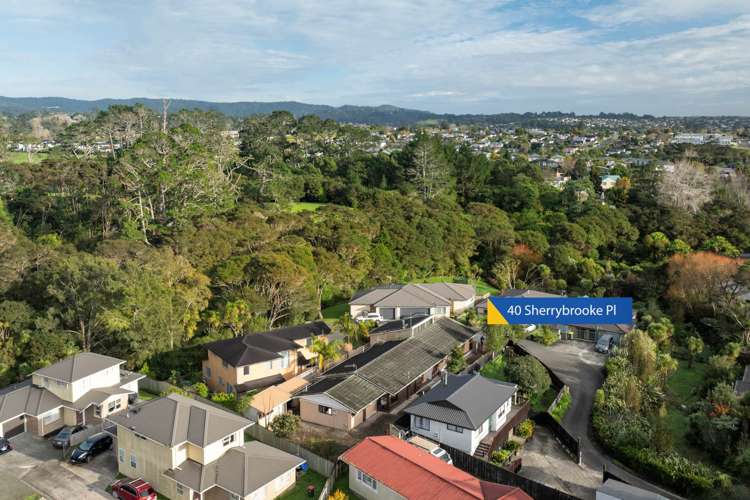 40 Sherrybrooke Place Sunnyvale_20