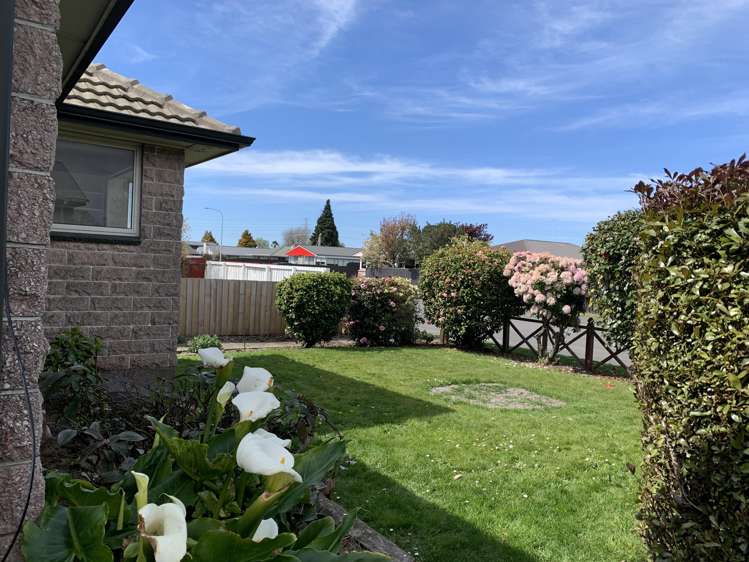 14 Camelia Place Islington_14