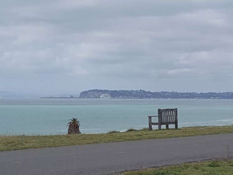 139 North Shore Road Eskdale_0