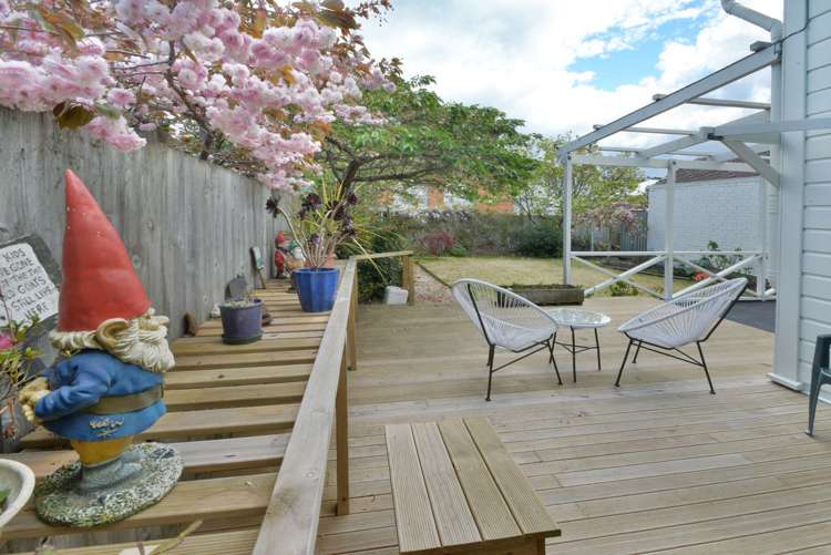 49 Richmond Street Forbury_15