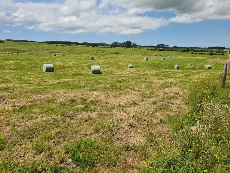 1528 Wiremu Road Rahotu_23