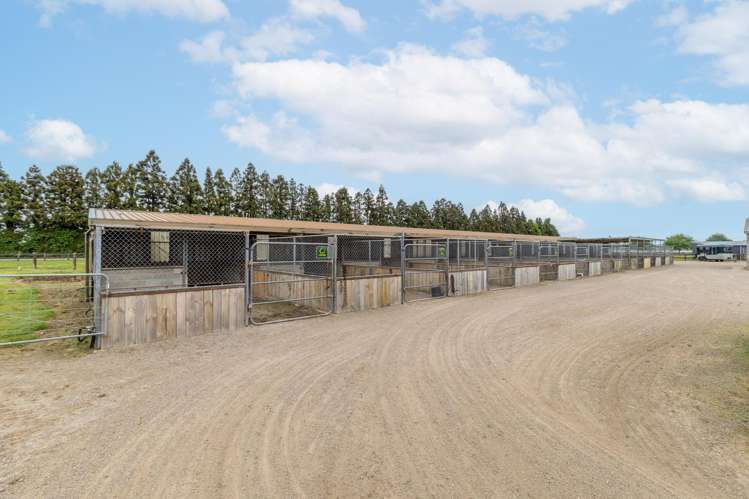 Lot Lot 2/159 Banks Road Matamata_43