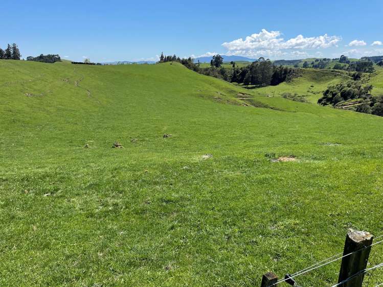 Ngaroma Road Wharepuhunga_16