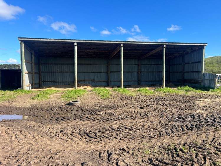 78 Brandon Hall Road Bulls_10