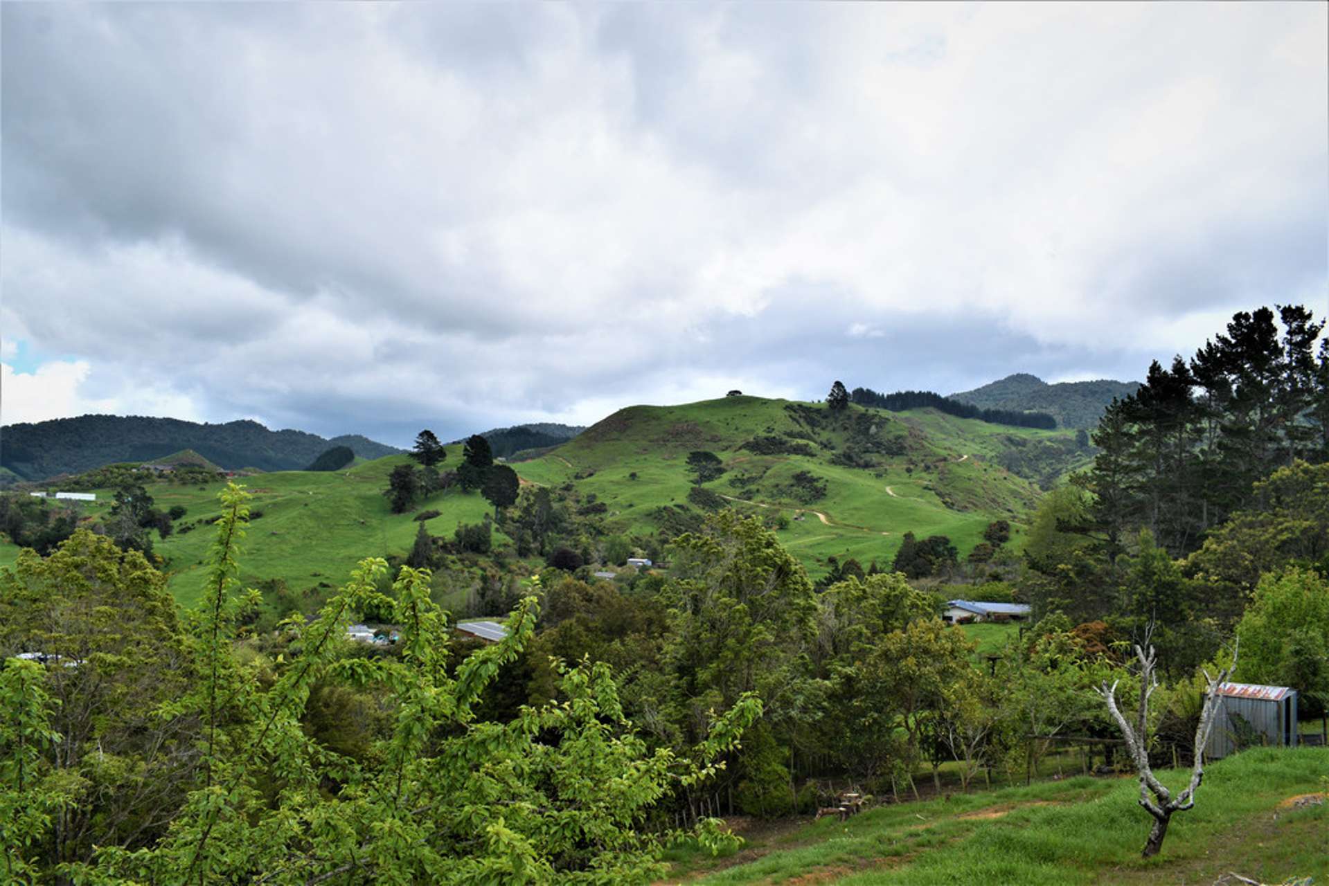 99 Bulltown Road Waihi_0
