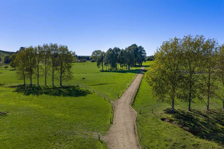 141 Te Mata Road Raglan_11