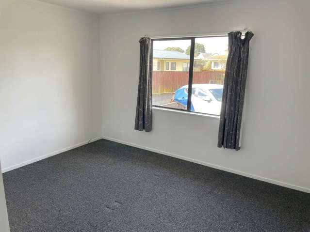 2/56C Burundi Avenue Clendon Park_4