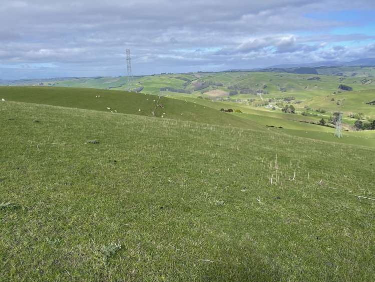 8 Munro Road Lawrence_10