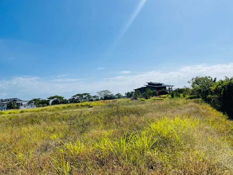 Lot 1 NAISOSOVU Nadi_6