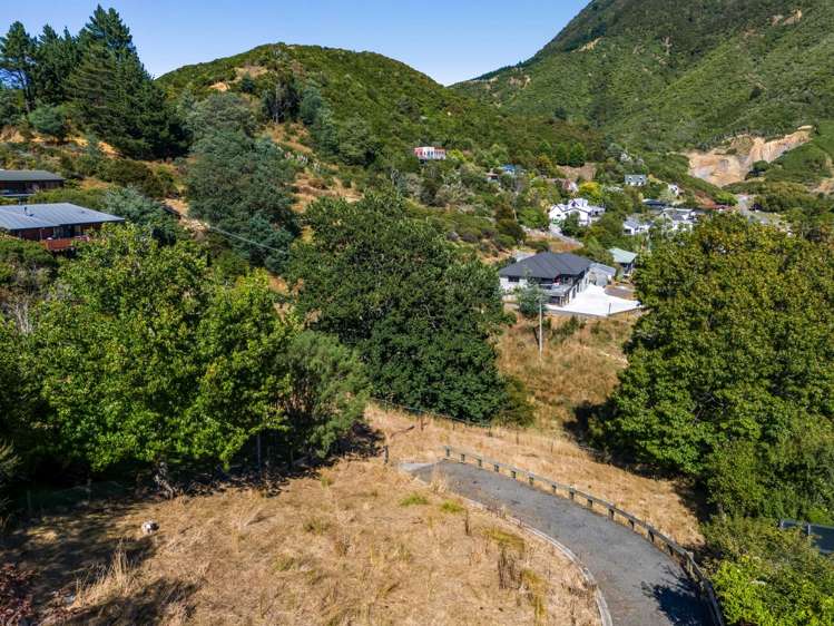 19b Dorset Street Picton_9